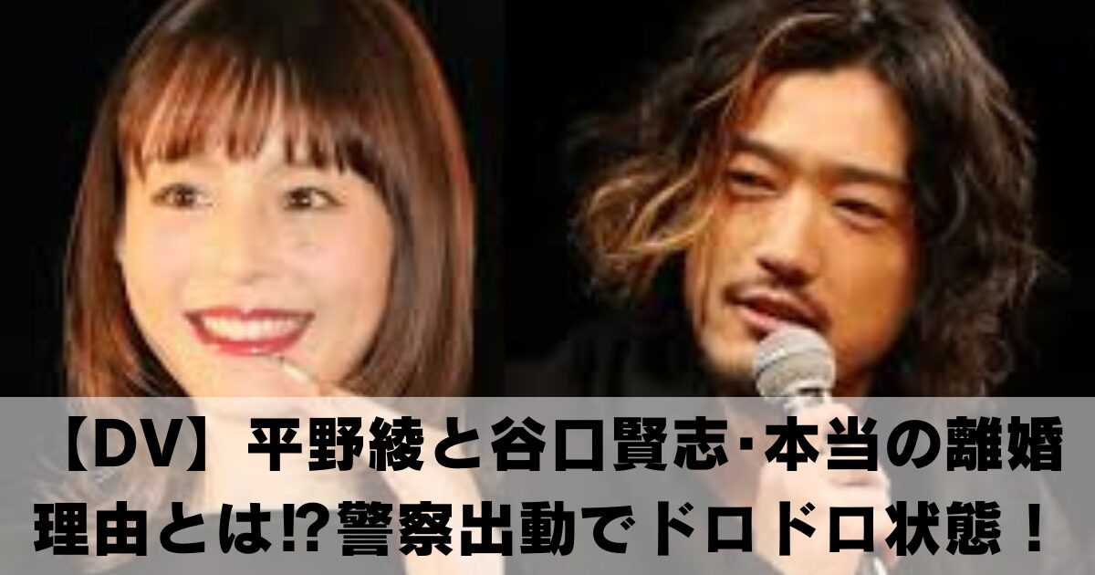 【謎のDV】平野綾と谷口賢志･本当の離婚理由とは⁉警察出動でドロドロ状態！